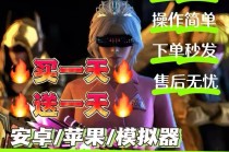 和平「熊猫」外挂