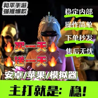 和平「熊猫」外挂