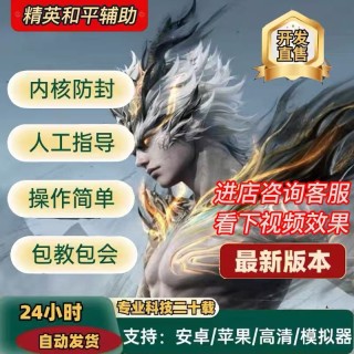 iOS和平「DF绘制」外挂