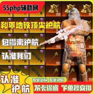 和平「狗头人地铁」辅助