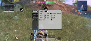 安卓和平「帕克pak」外挂