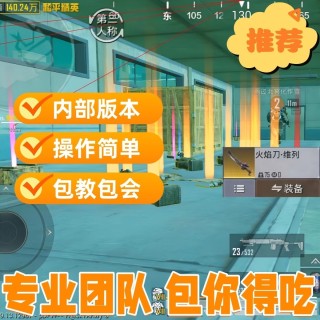 iOS和平「bro」外挂