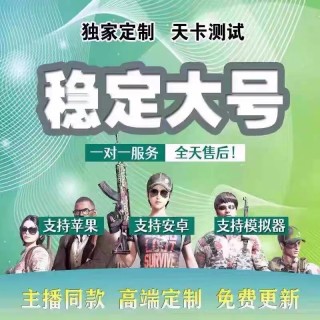 和平「恶魔绘制」外挂