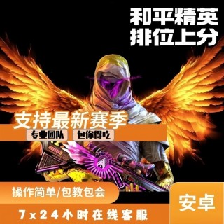 和平「COOL」辅助